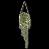 Online Hanging Leaves Artificial Plants