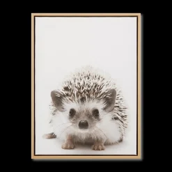 Hedgehog Framed Canvas Printed & Photography Wall Art Canvases