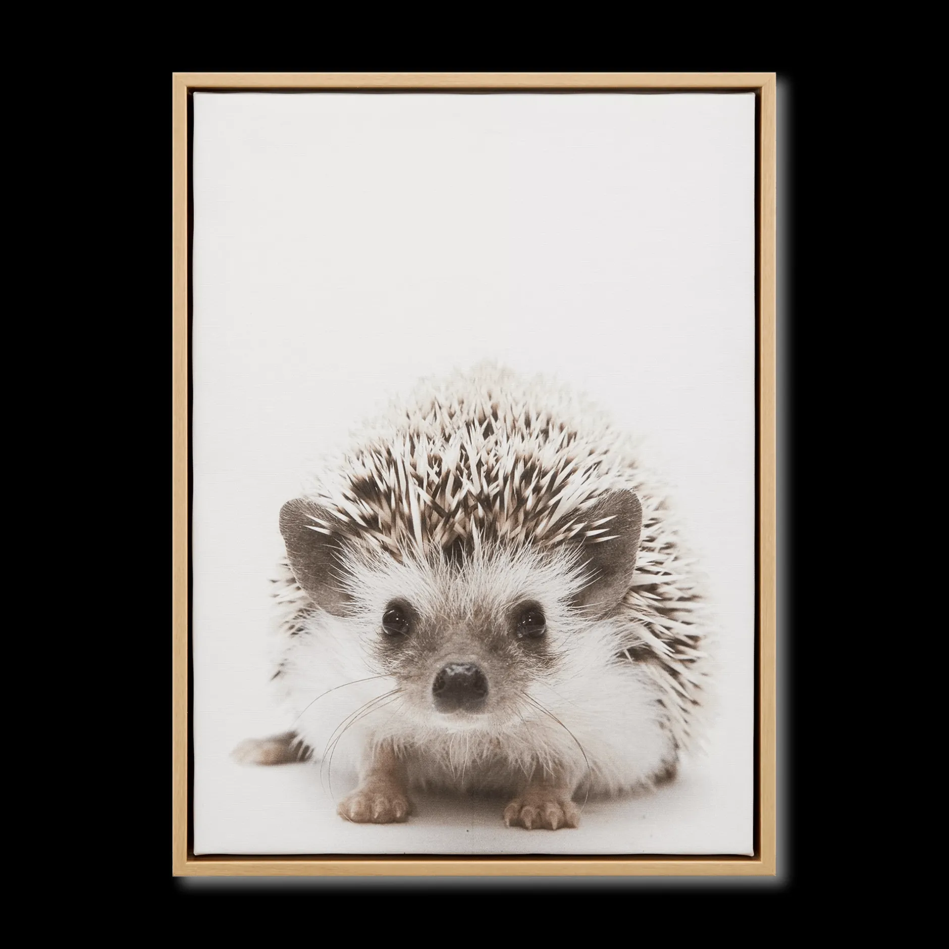 Hedgehog Framed Canvas Printed & Photography Wall Art Canvases
