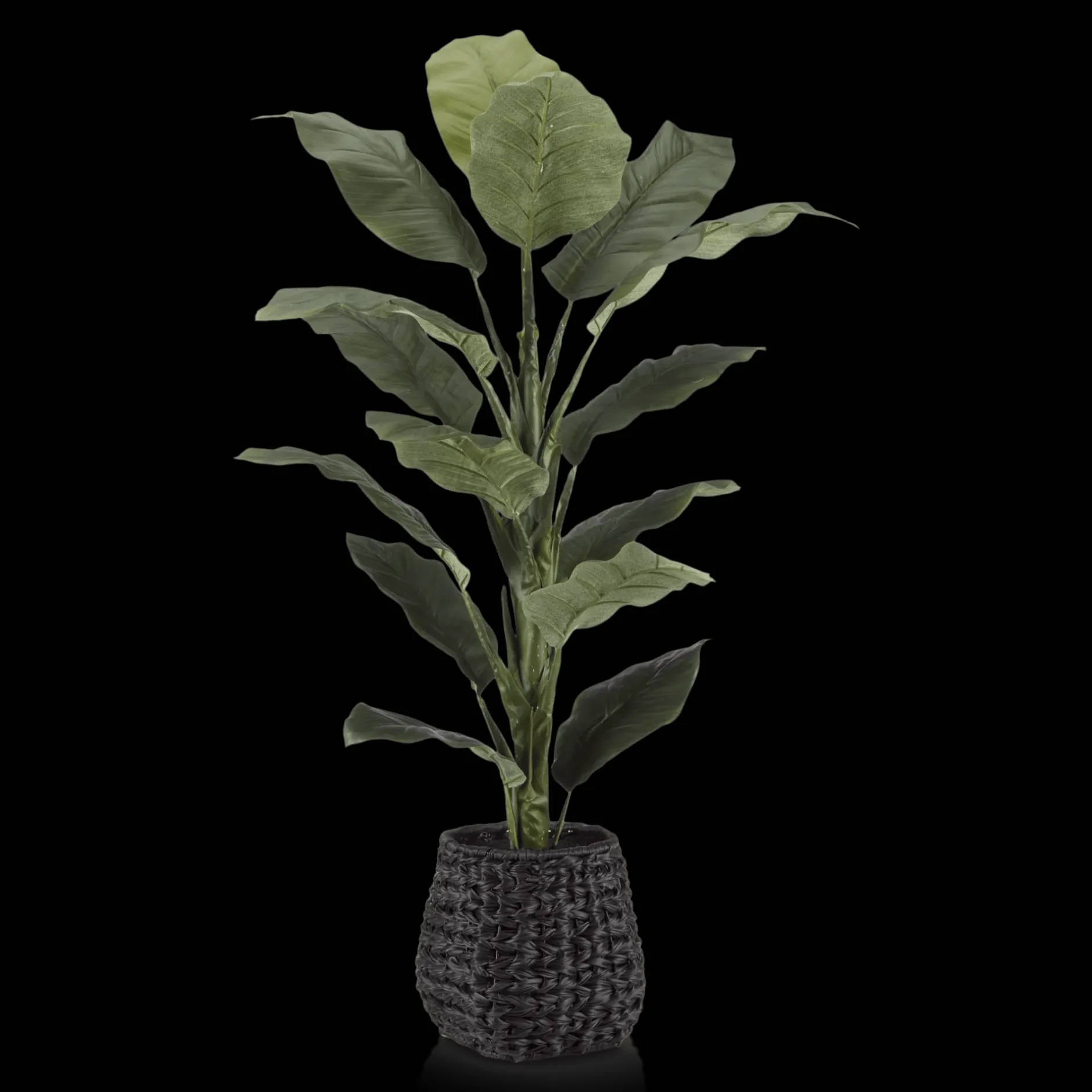 Best Large Ficus in Black Rattan Pot Branches|Artificial Flowers