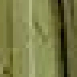 Outlet LED Glass Decorative Tree Seasonal Greenery