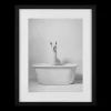 LLama in Bathtub Printed Framed Canvas Printed & Photography Wall Art Canvases
