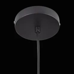 Hot Metal and Wood Ceiling Lamp Ceiling Lamps