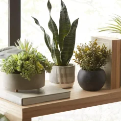 Best Mixed Artificial Agave in Cement Planter Artificial Plants