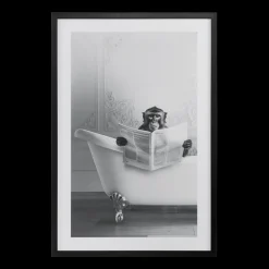 Clearance Monkey in Bathtub Printed Framed Canvas Printed & Photography Wall Art Canvases