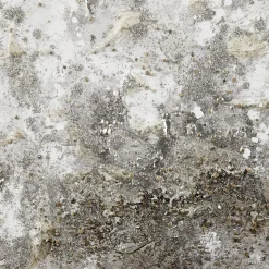 Discount Oil Painted Embellished Tree Canvas Oil Paintings