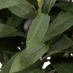 Best Olive Plant in Ceramic Pot Artificial Plants