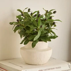 Best Olive Plant in Ceramic Pot Artificial Plants