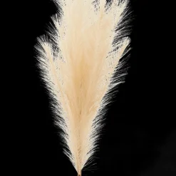 Sale Pampas Branches|Artificial Flowers
