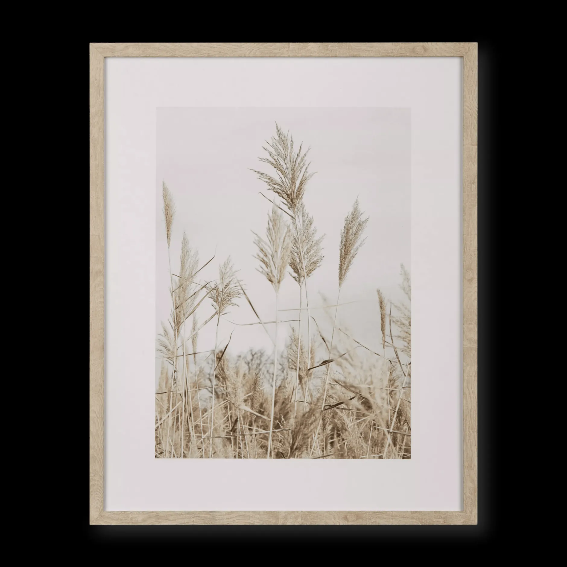 Hot Pampas on Beach Framed Canvas Printed & Photography Wall Art Canvases