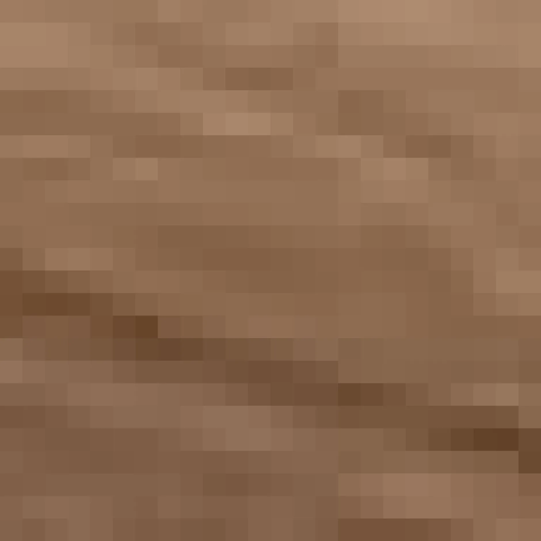 Best Round Mirror with Natural Frame Mirrors