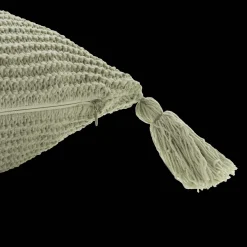 Discount Sage Erna Decorative Pillow with Tassels Junior Throw Pillows