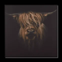 Outlet Scottish Highland Cattle Framed Printed Canvas Printed & Photography Wall Art Canvases