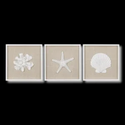 Hot Set of 3 Seashells Framed Art Wall Decorations