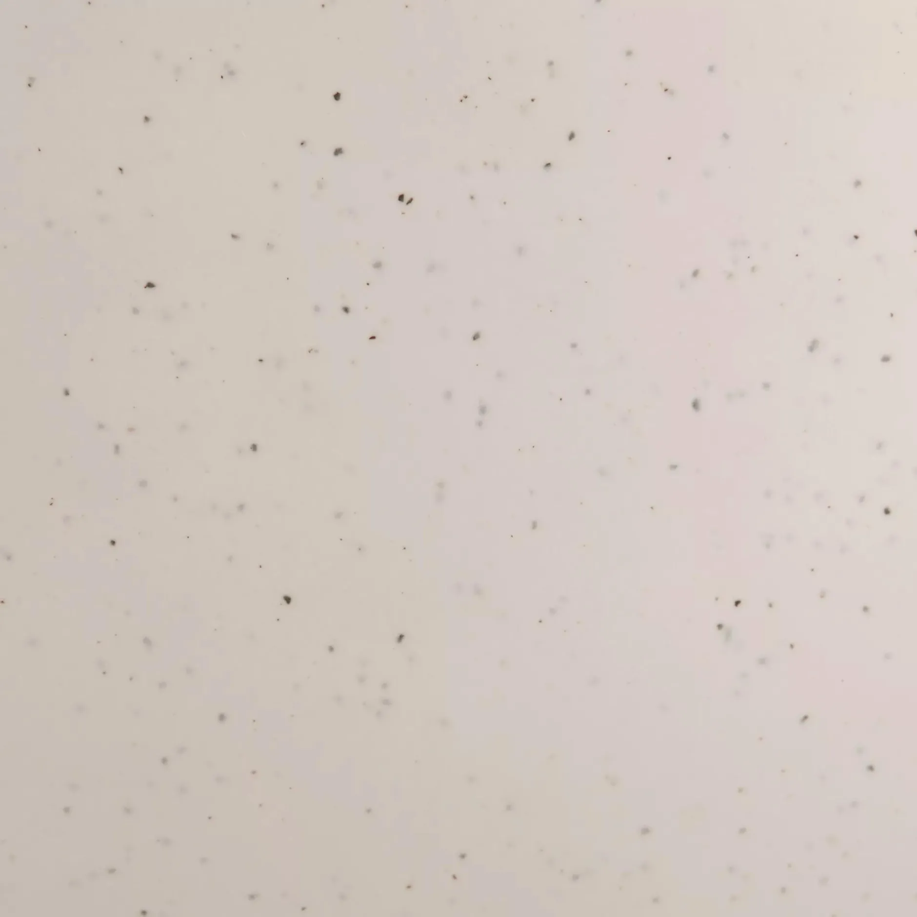 Clearance Speckled Ceramic Fruit Bowl Dinnerware|Kitchen & Dining Accessories