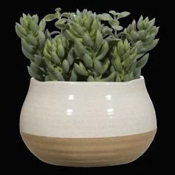 Online Succulant in Two Tone Pot Artificial Plants