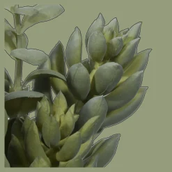 Online Succulant in Two Tone Pot Artificial Plants