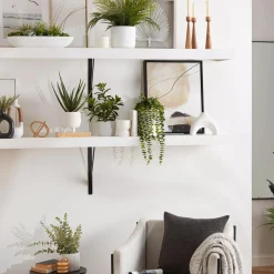 Succulents in Cement Tray Artificial Plants