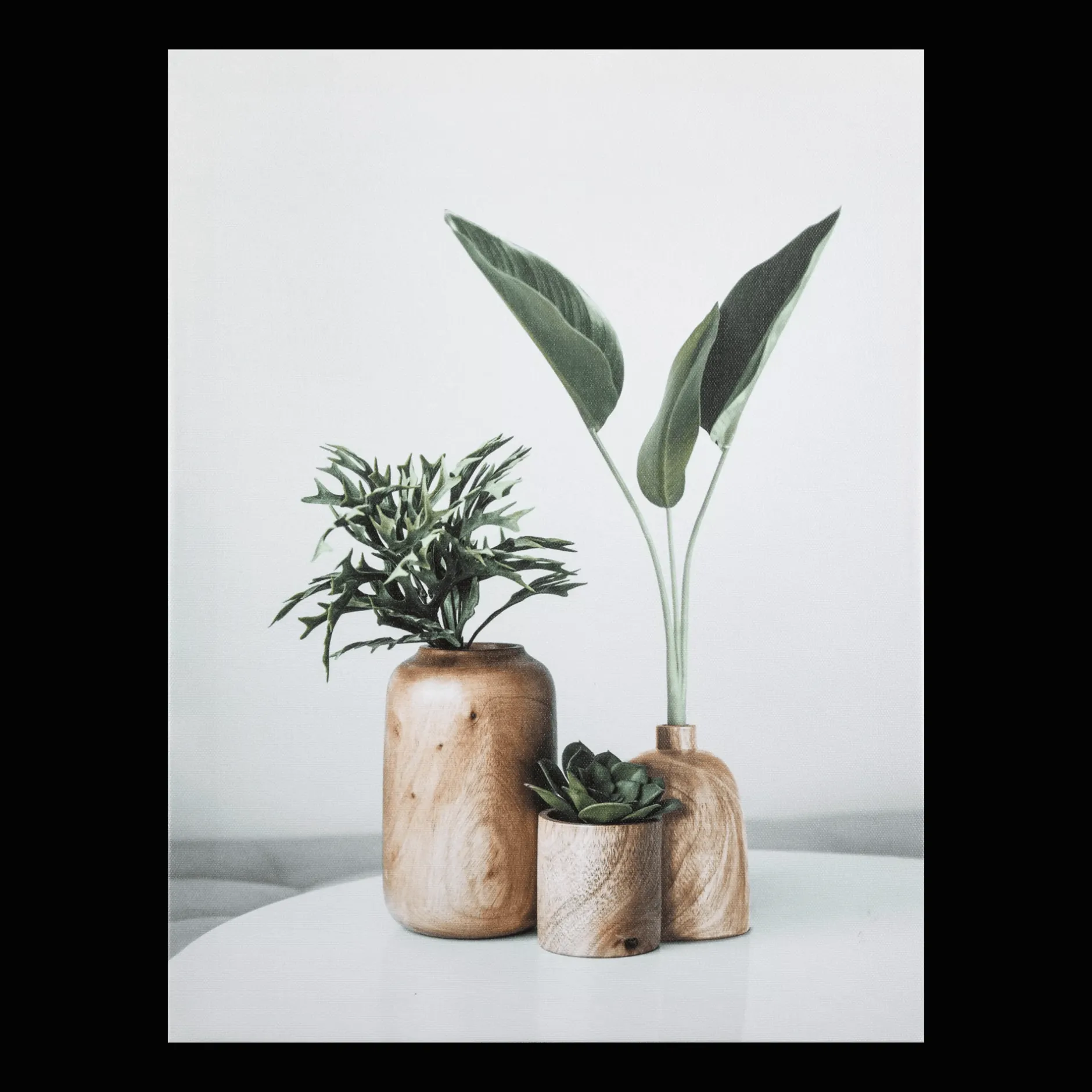 Outlet Succulents in Wood Vases Printed Canvas Printed & Photography Wall Art Canvases