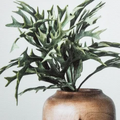 Outlet Succulents in Wood Vases Printed Canvas Printed & Photography Wall Art Canvases