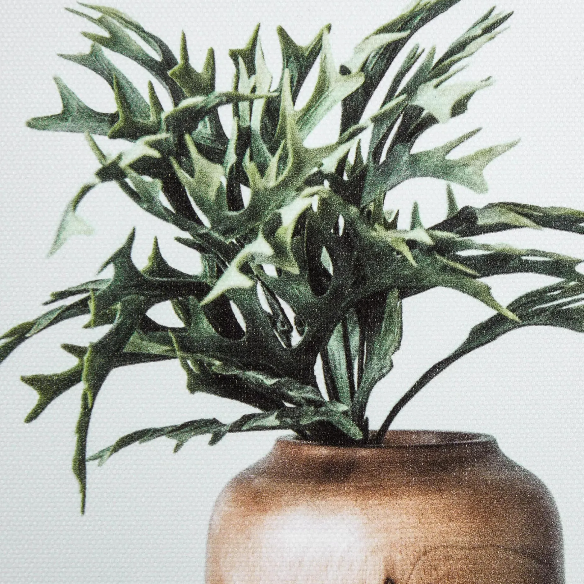 Outlet Succulents in Wood Vases Printed Canvas Printed & Photography Wall Art Canvases