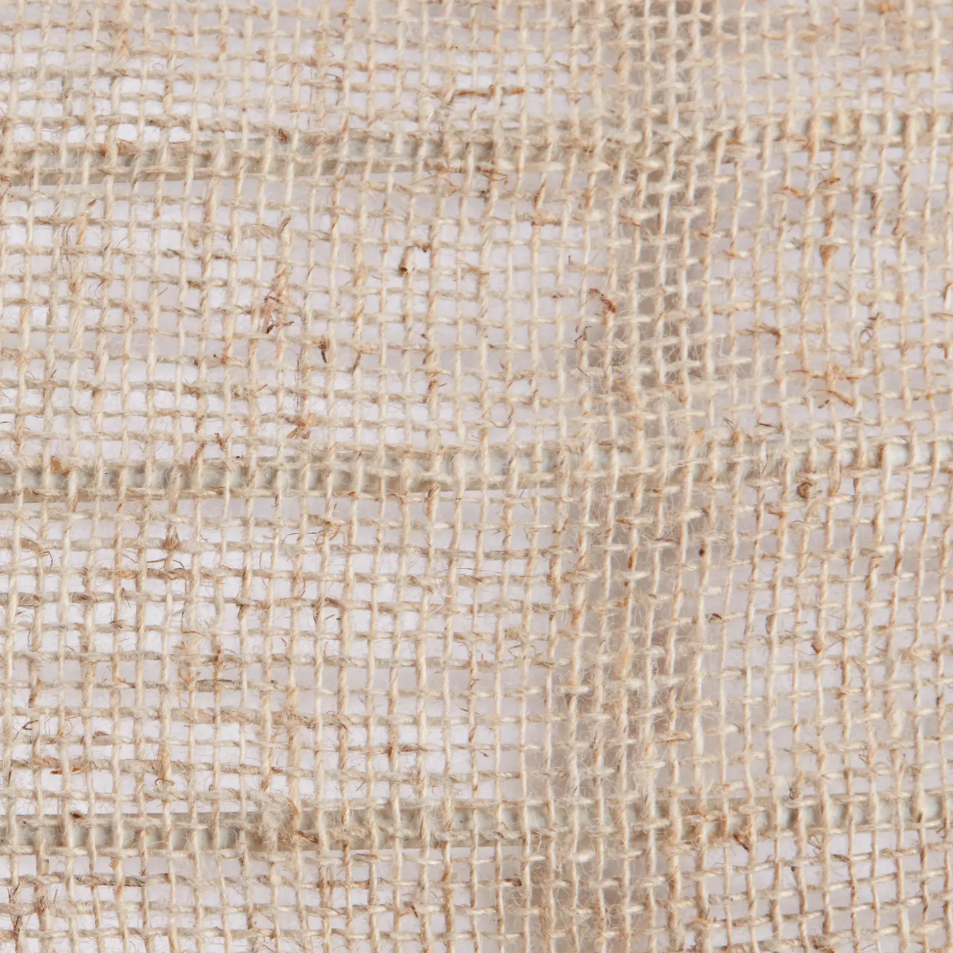 Outlet Textured Ceiling Lamp Ceiling Lamps