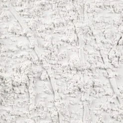 Clearance White Tree Oil Painted Framed Art Oil Paintings