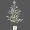 Hot Xmas Tree in Ceramic Pot Seasonal Greenery
